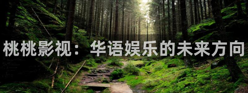 欧美影院电影大全：桃桃影视：华语娱乐的未来方向