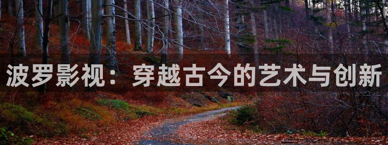 激情欧美影院：波罗影视：穿越古今的艺术与创新