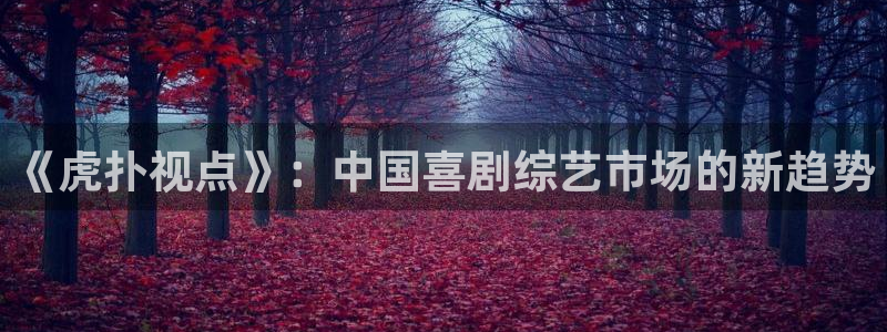 优优色欧美影院免费：《虎扑视点》：中国喜剧综艺市场的新趋势
