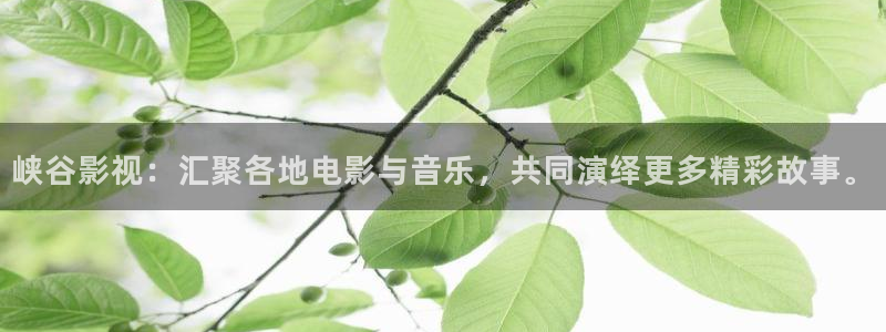 东方影视天天欧美影院：峡谷影视：汇聚各地电影与音乐，共同演绎更多精彩故事。