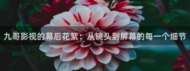 欧美影院必看电影推荐：九哥影视的幕后花絮：从镜头到屏幕的每一个细节